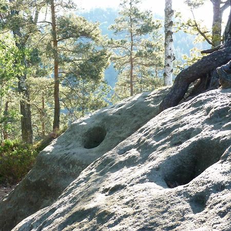 Ein Platz Fuer Ruhe Und Naturgenuss Sebnitz Extérieur photo