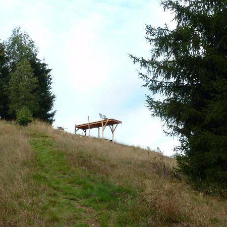 Ein Platz Fuer Ruhe Und Naturgenuss Sebnitz Extérieur photo