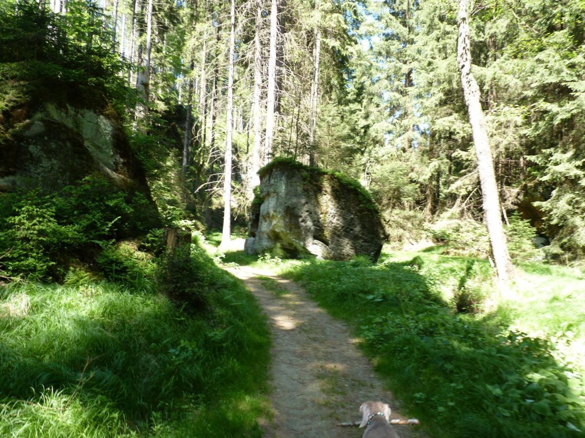 Ein Platz Fuer Ruhe Und Naturgenuss Sebnitz Extérieur photo