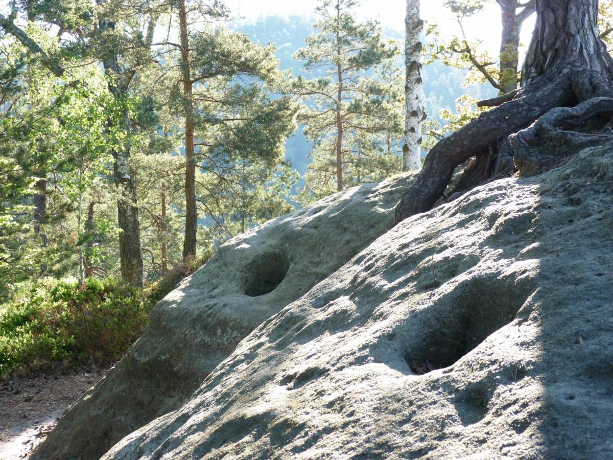 Ein Platz Fuer Ruhe Und Naturgenuss Sebnitz Extérieur photo