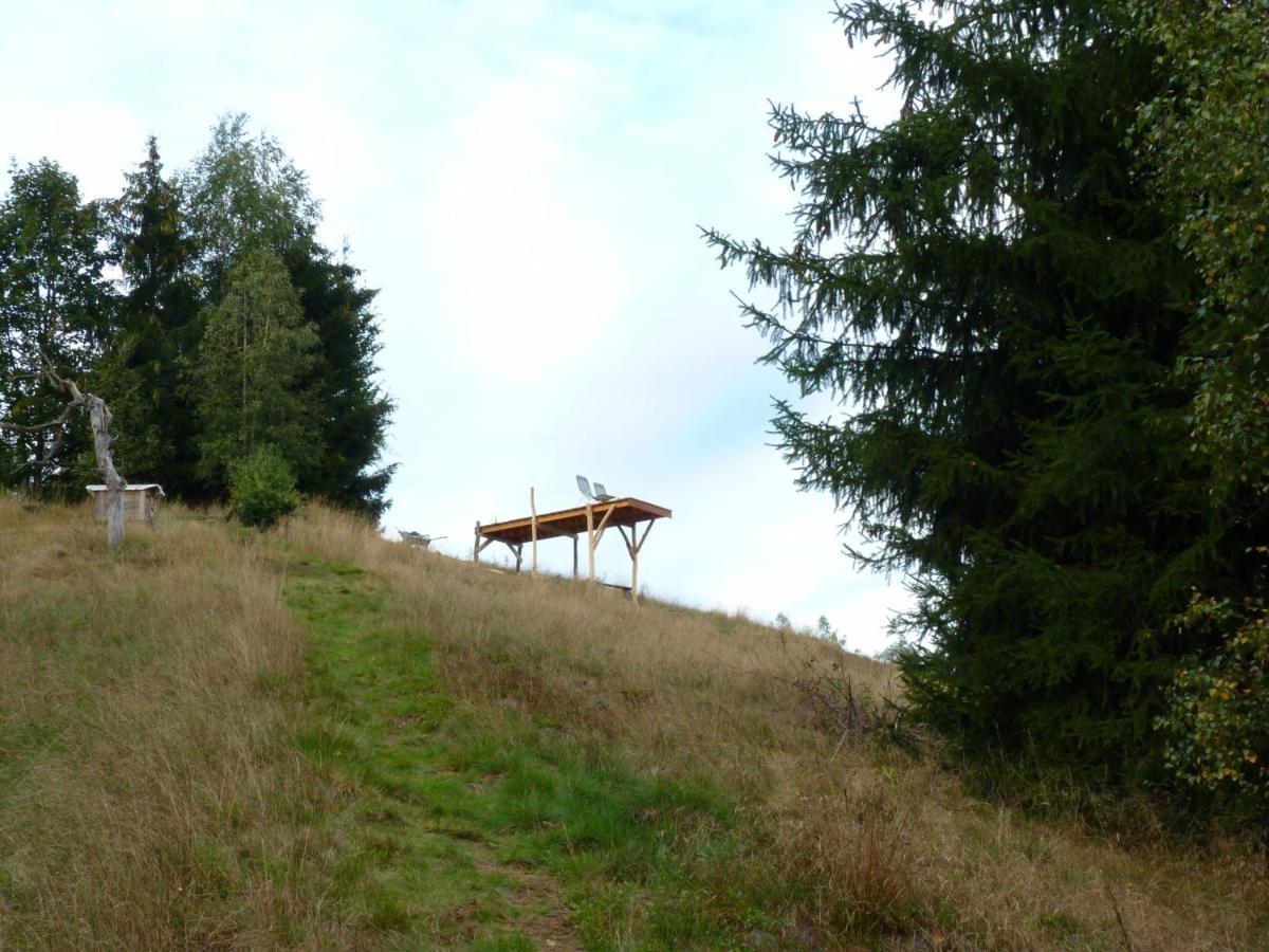 Ein Platz Fuer Ruhe Und Naturgenuss Sebnitz Extérieur photo