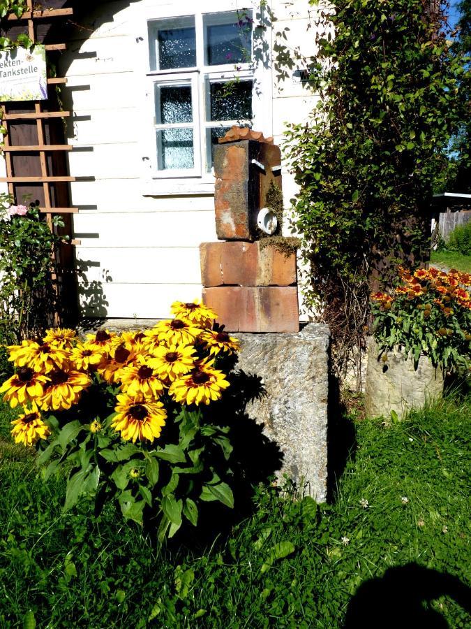 Ein Platz Fuer Ruhe Und Naturgenuss Sebnitz Extérieur photo