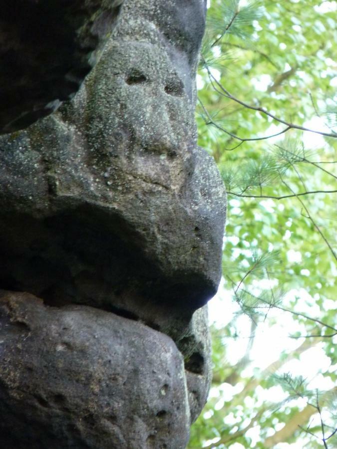 Ein Platz Fuer Ruhe Und Naturgenuss Sebnitz Extérieur photo
