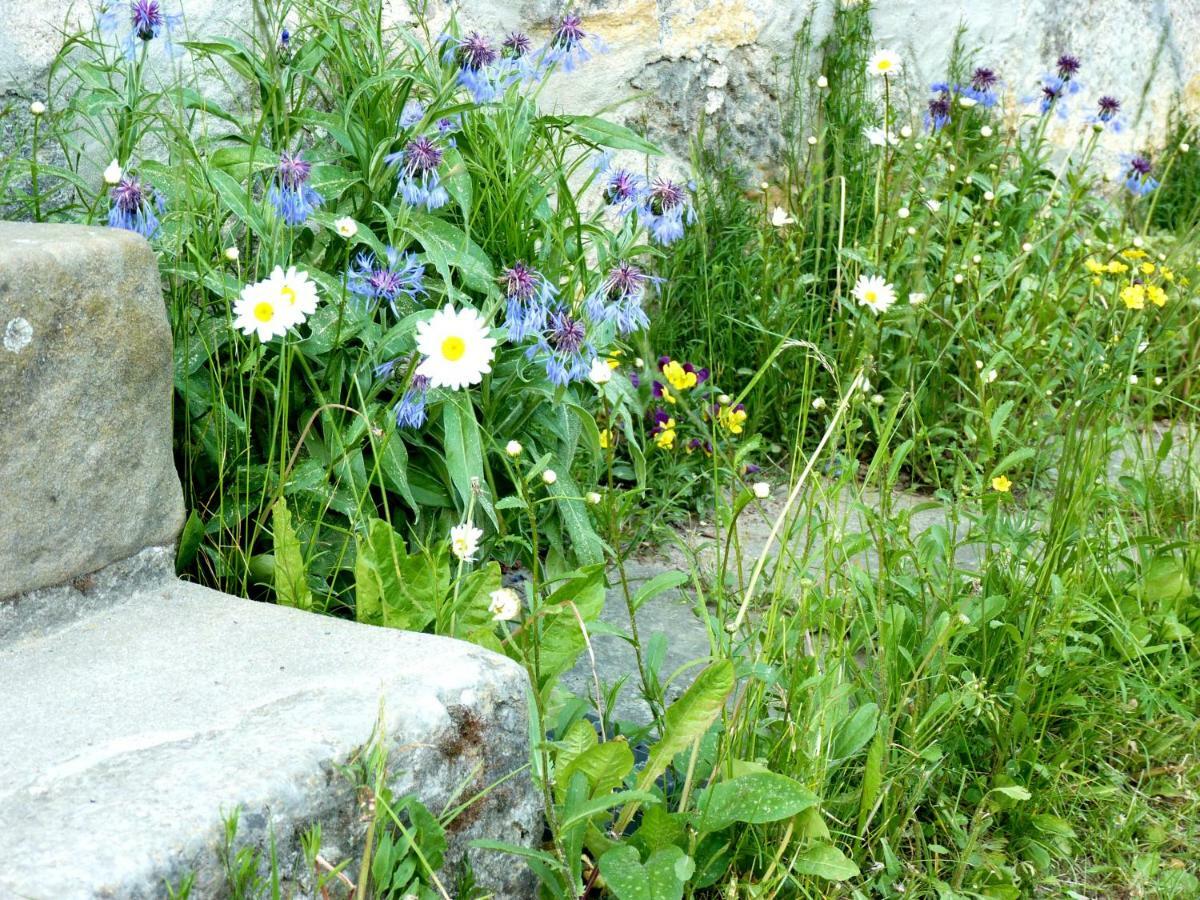 Ein Platz Fuer Ruhe Und Naturgenuss Sebnitz Extérieur photo